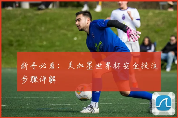 新手必看:美加墨世界杯安全投注步骤详解